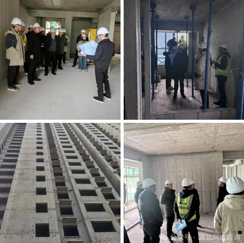 1736752862895276.jpg ΢ÐÅͼƬ_20250113145250.jpg